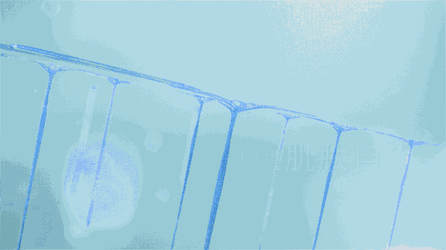 blob.png